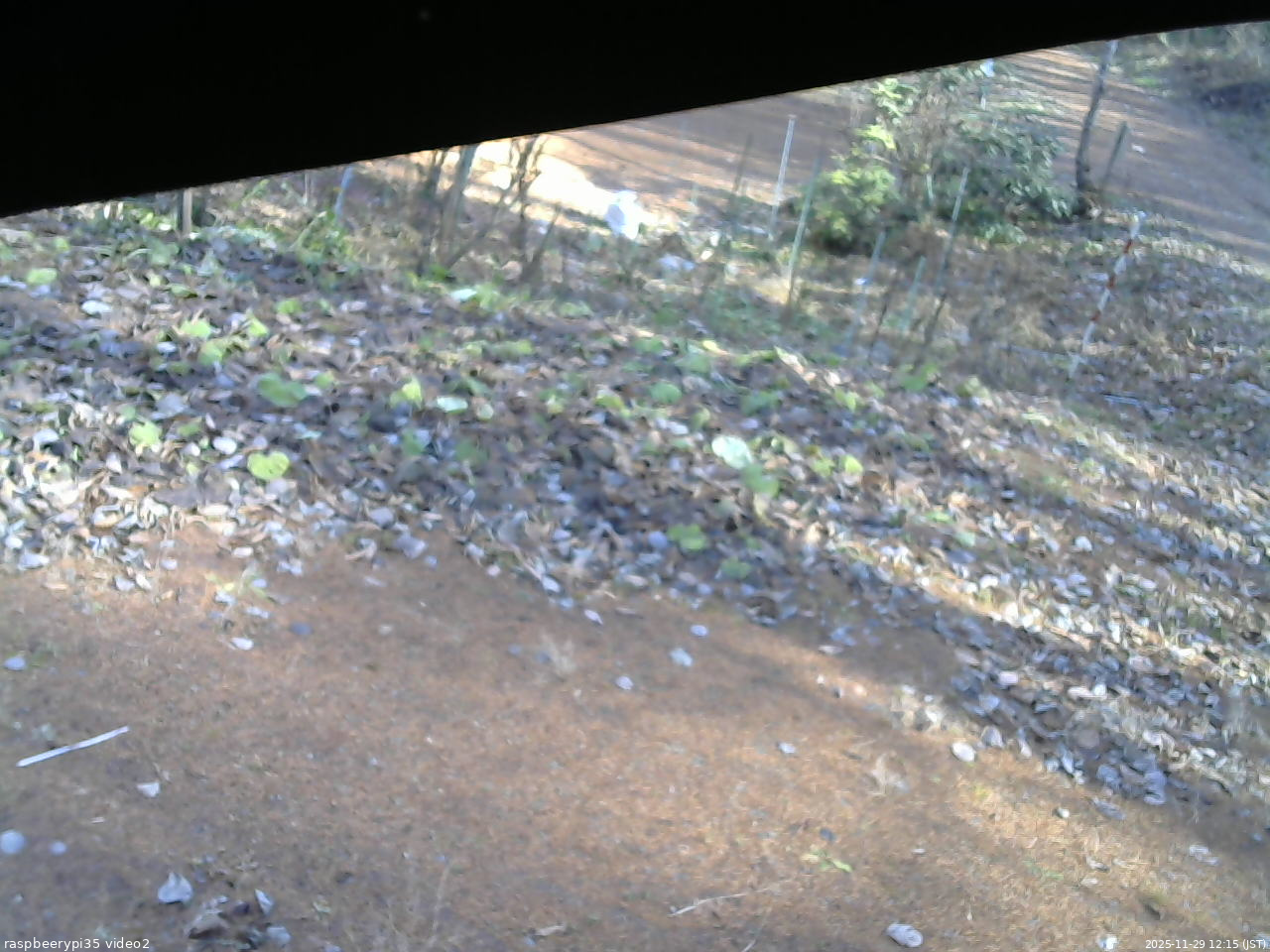 長野県菅平高原 ゆたか山荘 駐車場 2025/11/29 12:15