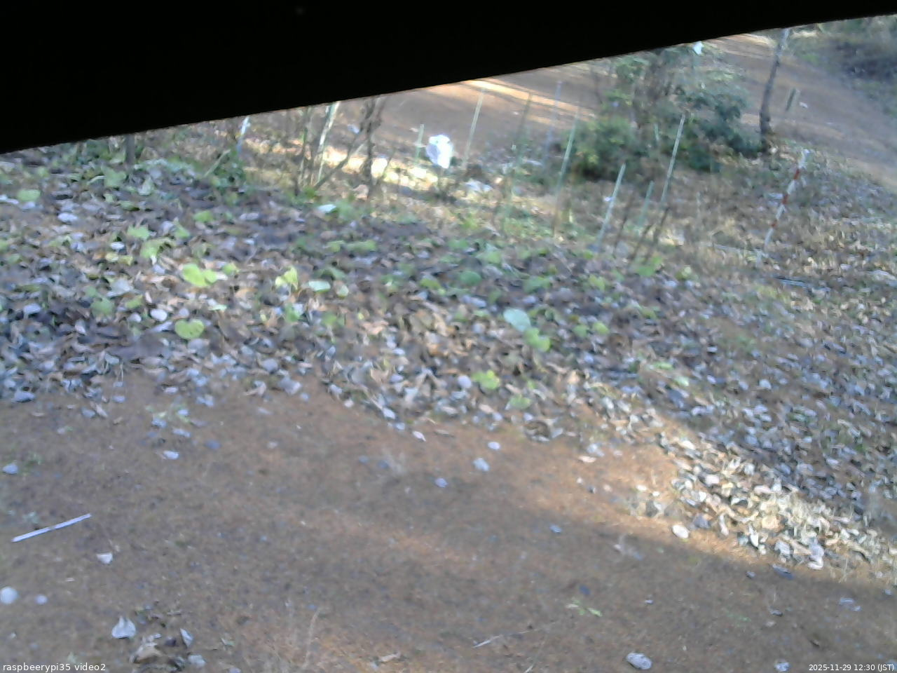 長野県菅平高原 ゆたか山荘 駐車場 2025/11/29 12:30