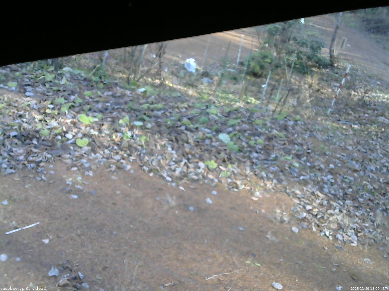 長野県菅平高原 ゆたか山荘 駐車場 2025/11/29 13:00