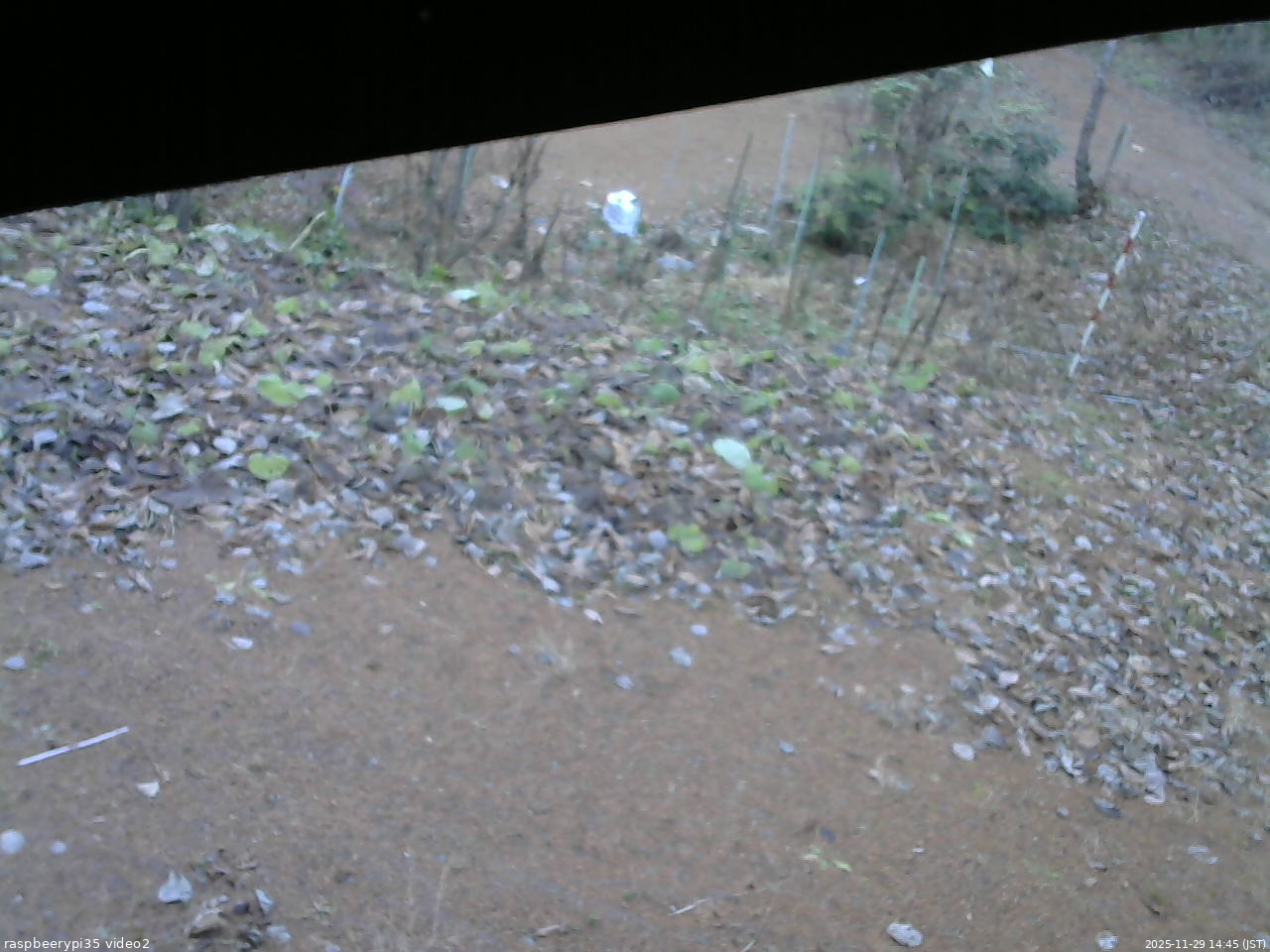 長野県菅平高原 ゆたか山荘 駐車場 2025/11/29 14:45