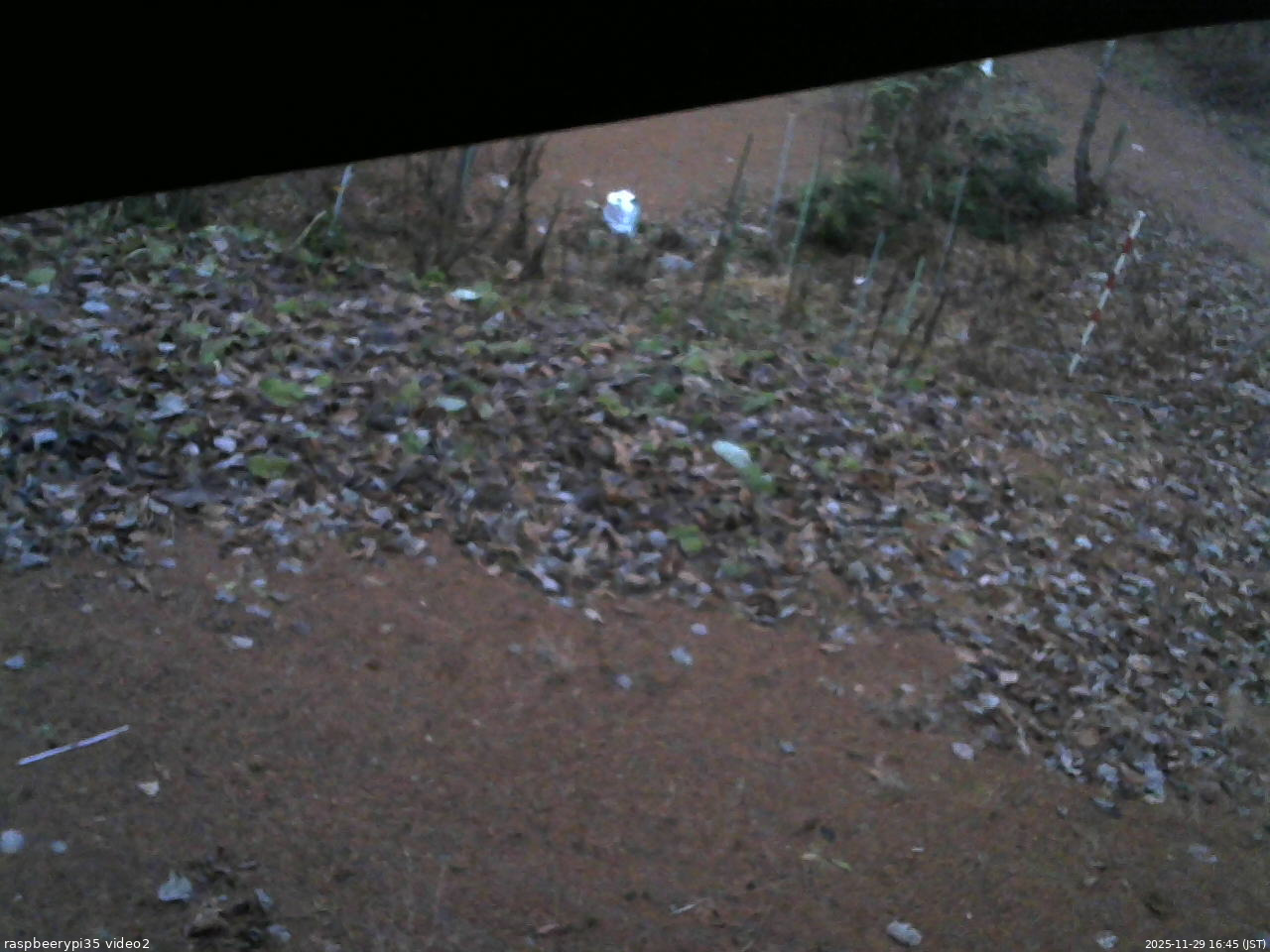 長野県菅平高原 ゆたか山荘 駐車場 2025/11/29 16:45