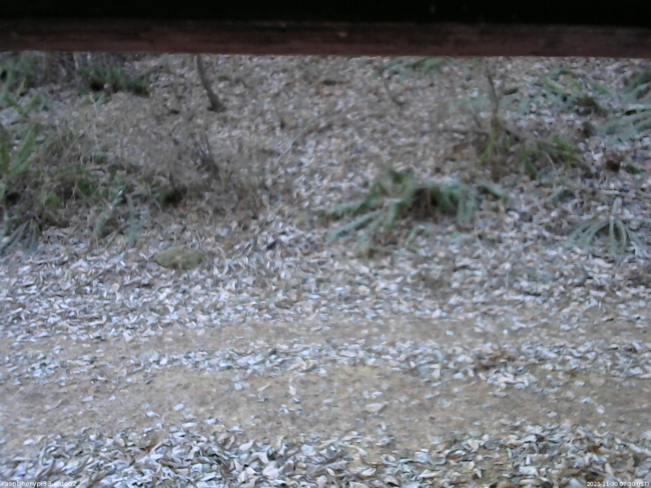 長野県菅平高原 ゆたか山荘 南側 2025/11/30 07:30