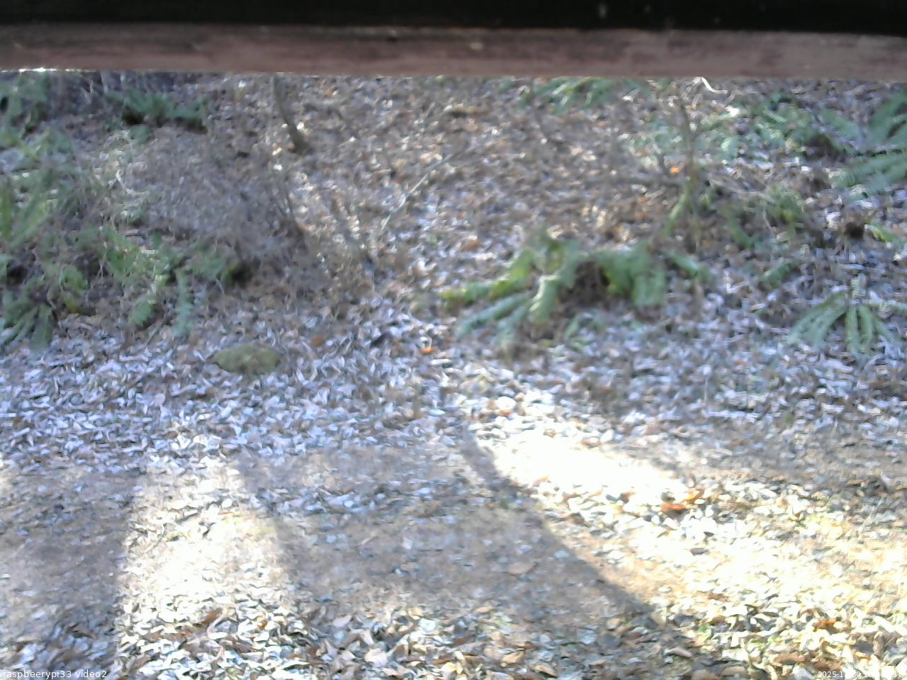 長野県菅平高原 ゆたか山荘 南側 2025/11/30 10:00