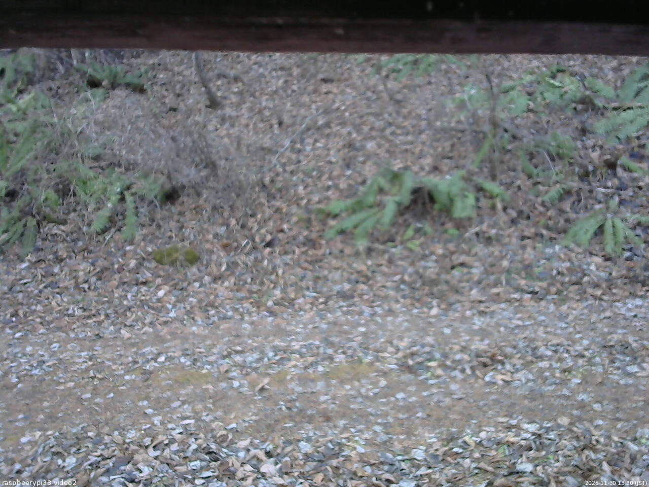 長野県菅平高原 ゆたか山荘 南側 2025/11/30 13:30