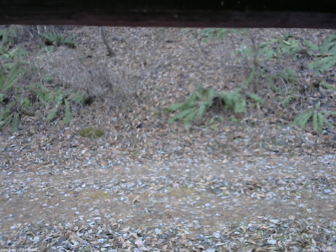 長野県菅平高原 ゆたか山荘 南側 2025/11/30 13:45