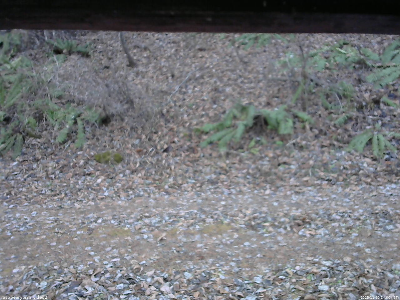 長野県菅平高原 ゆたか山荘 南側 2025/11/30 14:00