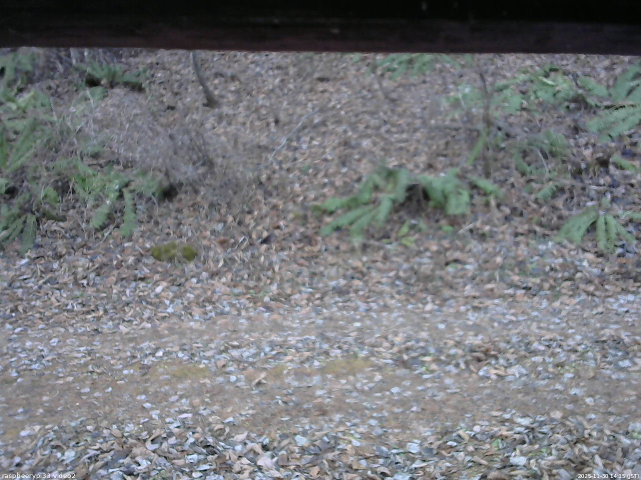 長野県菅平高原 ゆたか山荘 南側 2025/11/30 14:15