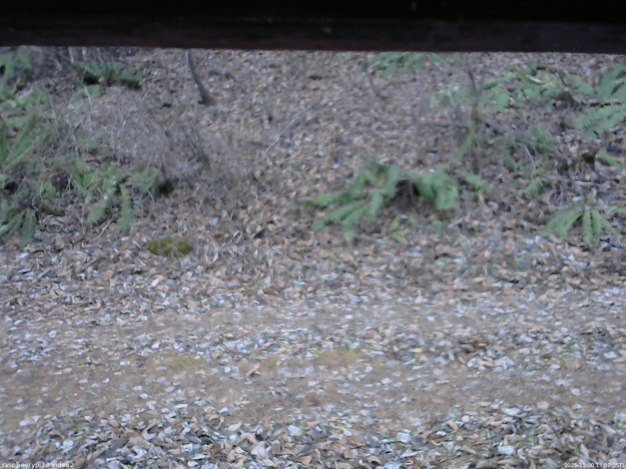 長野県菅平高原 ゆたか山荘 南側 2025/11/30 15:00