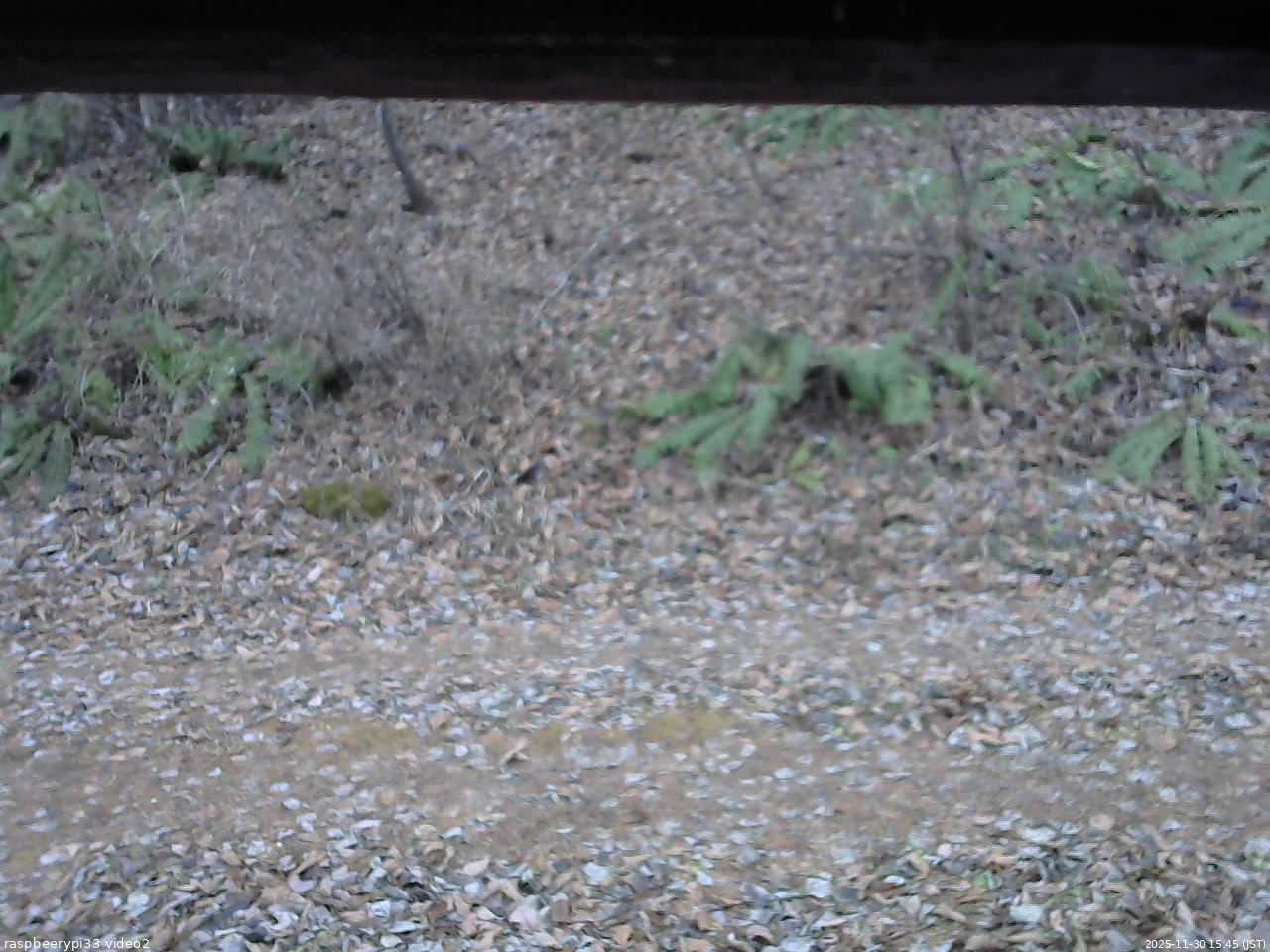 長野県菅平高原 ゆたか山荘 南側 2025/11/30 15:45