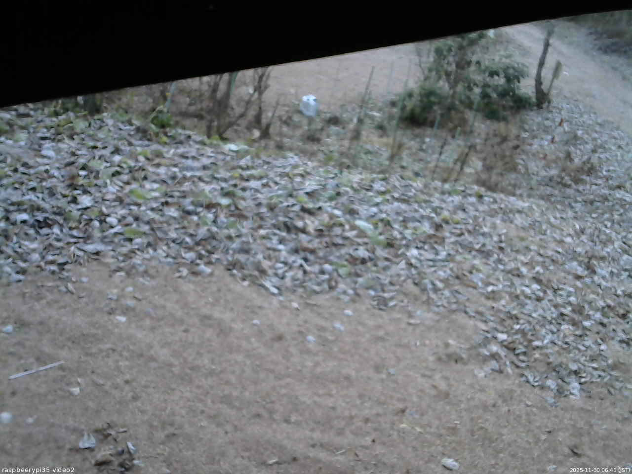 長野県菅平高原 ゆたか山荘 駐車場 2025/11/30 06:45