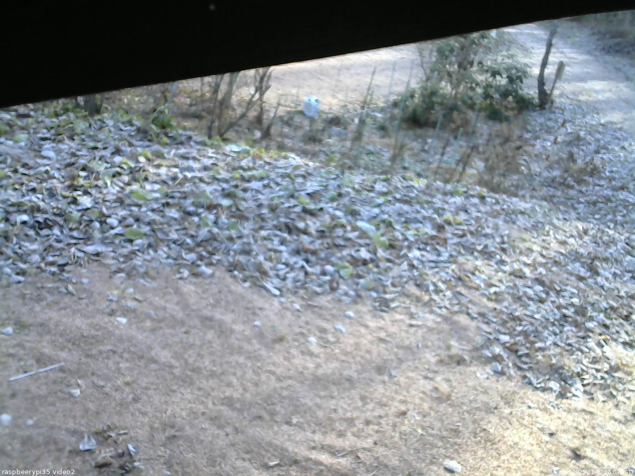 長野県菅平高原 ゆたか山荘 駐車場 2025/11/30 08:00