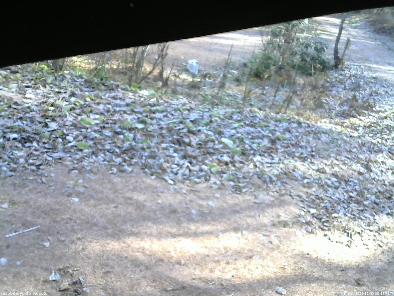 長野県菅平高原 ゆたか山荘 駐車場 2025/11/30 09:45
