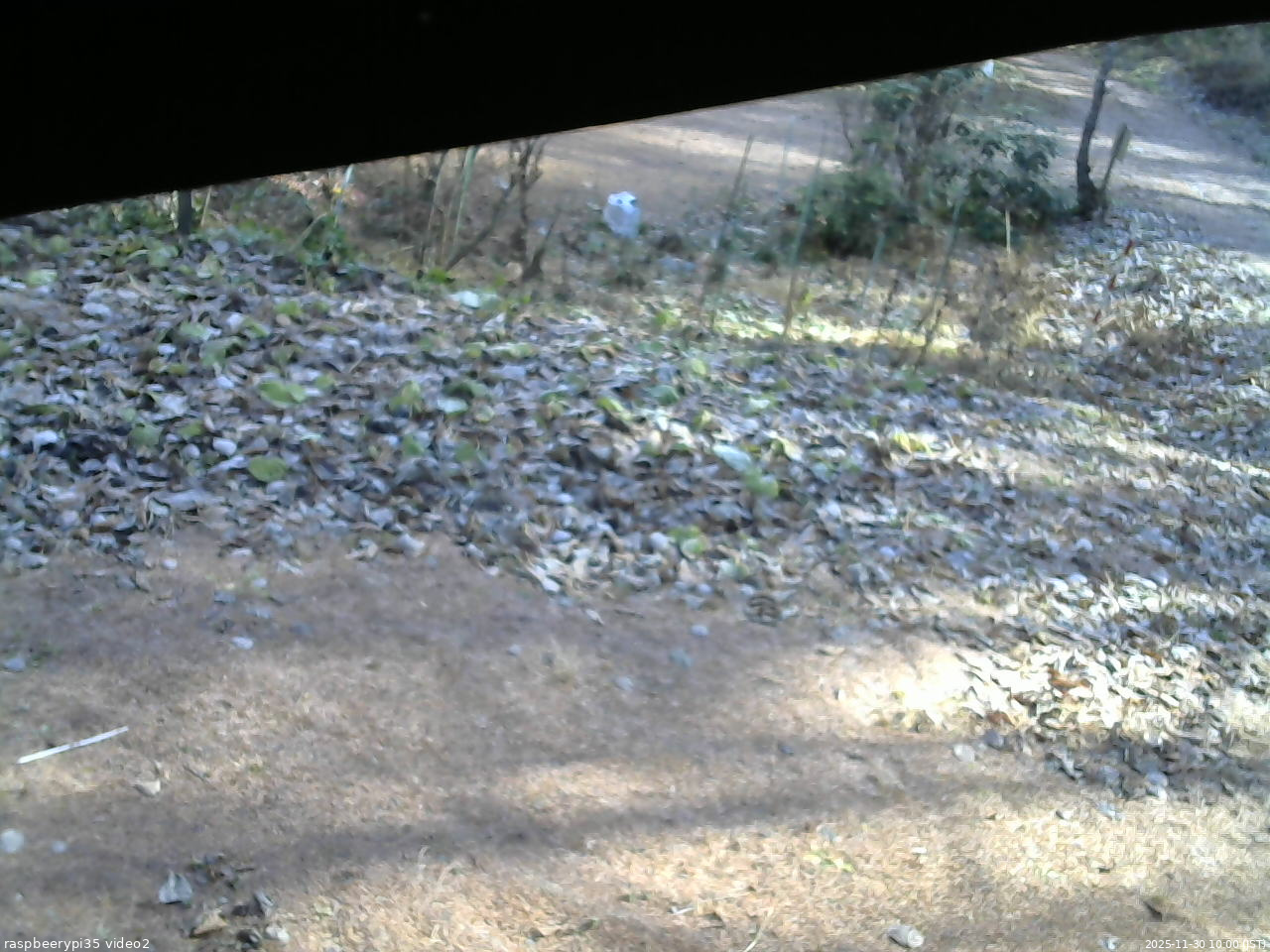 長野県菅平高原 ゆたか山荘 駐車場 2025/11/30 10:00