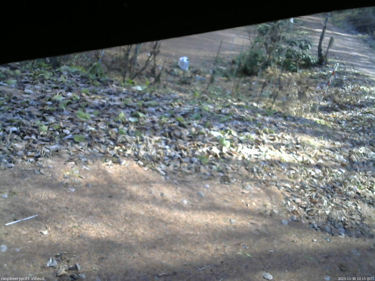 長野県菅平高原 ゆたか山荘 駐車場 2025/11/30 10:15