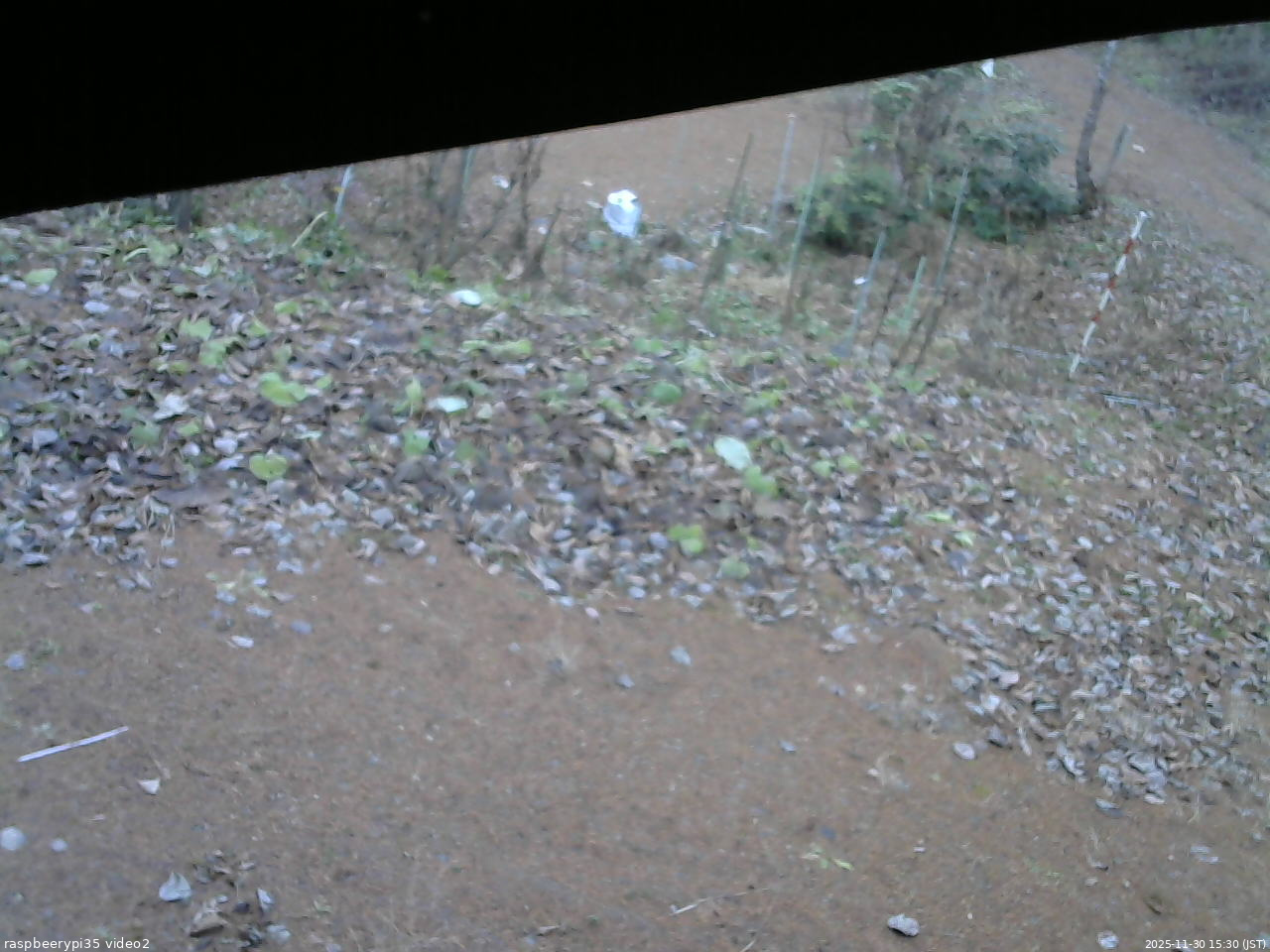 長野県菅平高原 ゆたか山荘 駐車場 2025/11/30 15:30