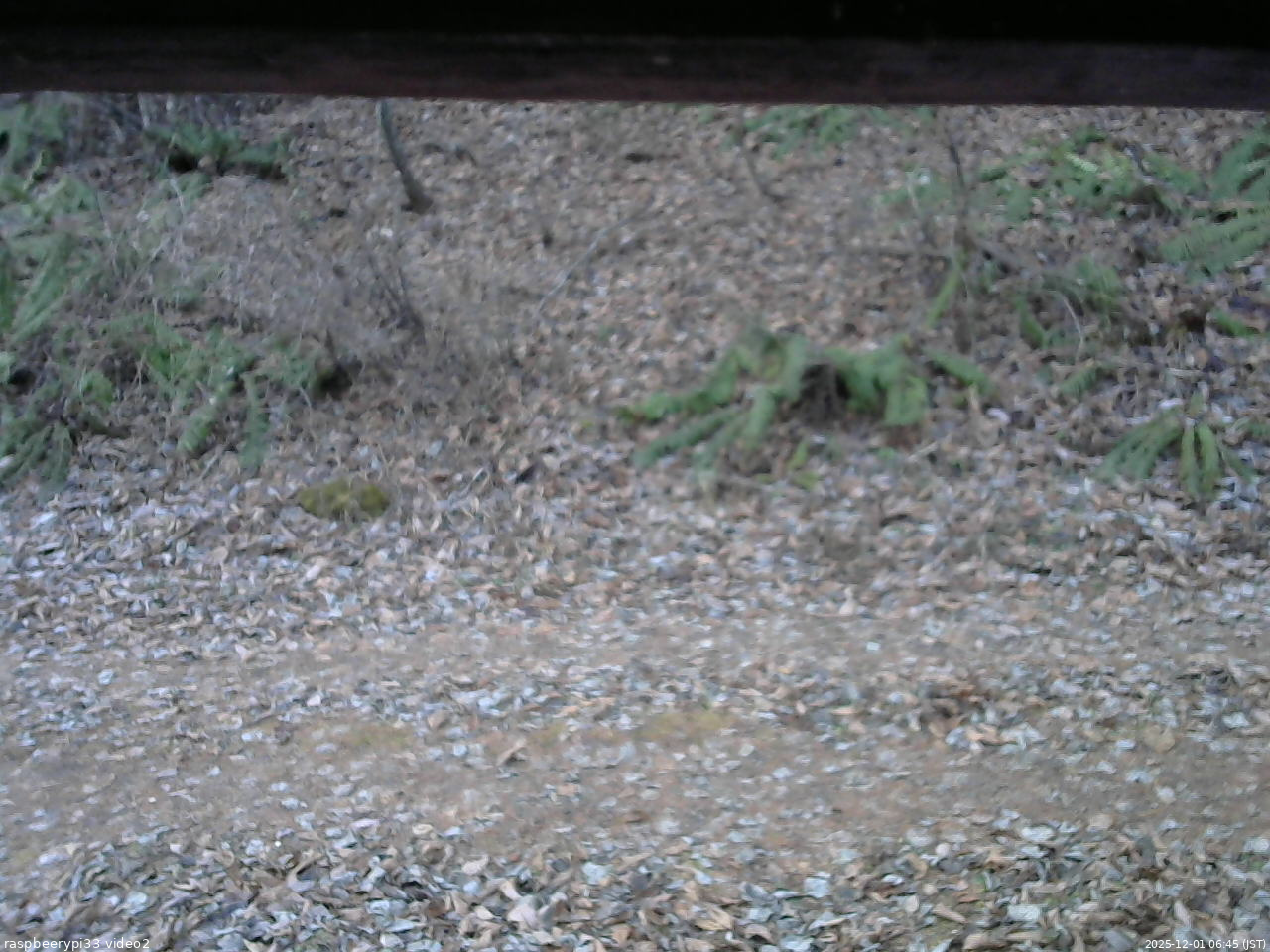 長野県菅平高原 ゆたか山荘 南側 2025/12/01 06:45