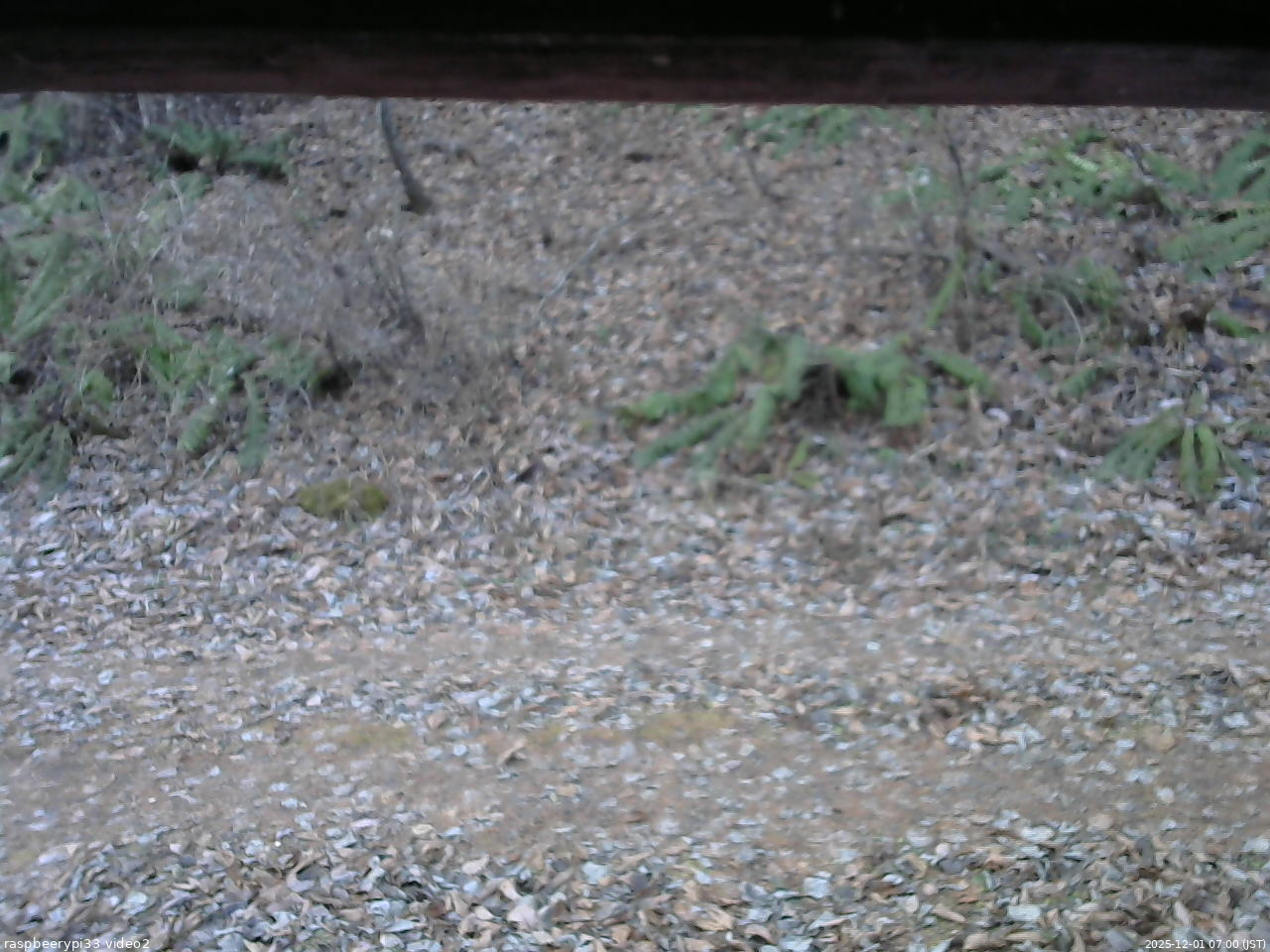 長野県菅平高原 ゆたか山荘 南側 2025/12/01 07:00