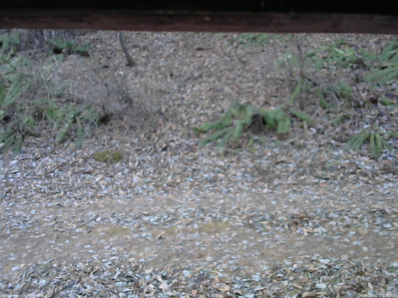 長野県菅平高原 ゆたか山荘 南側 2025/12/01 07:15