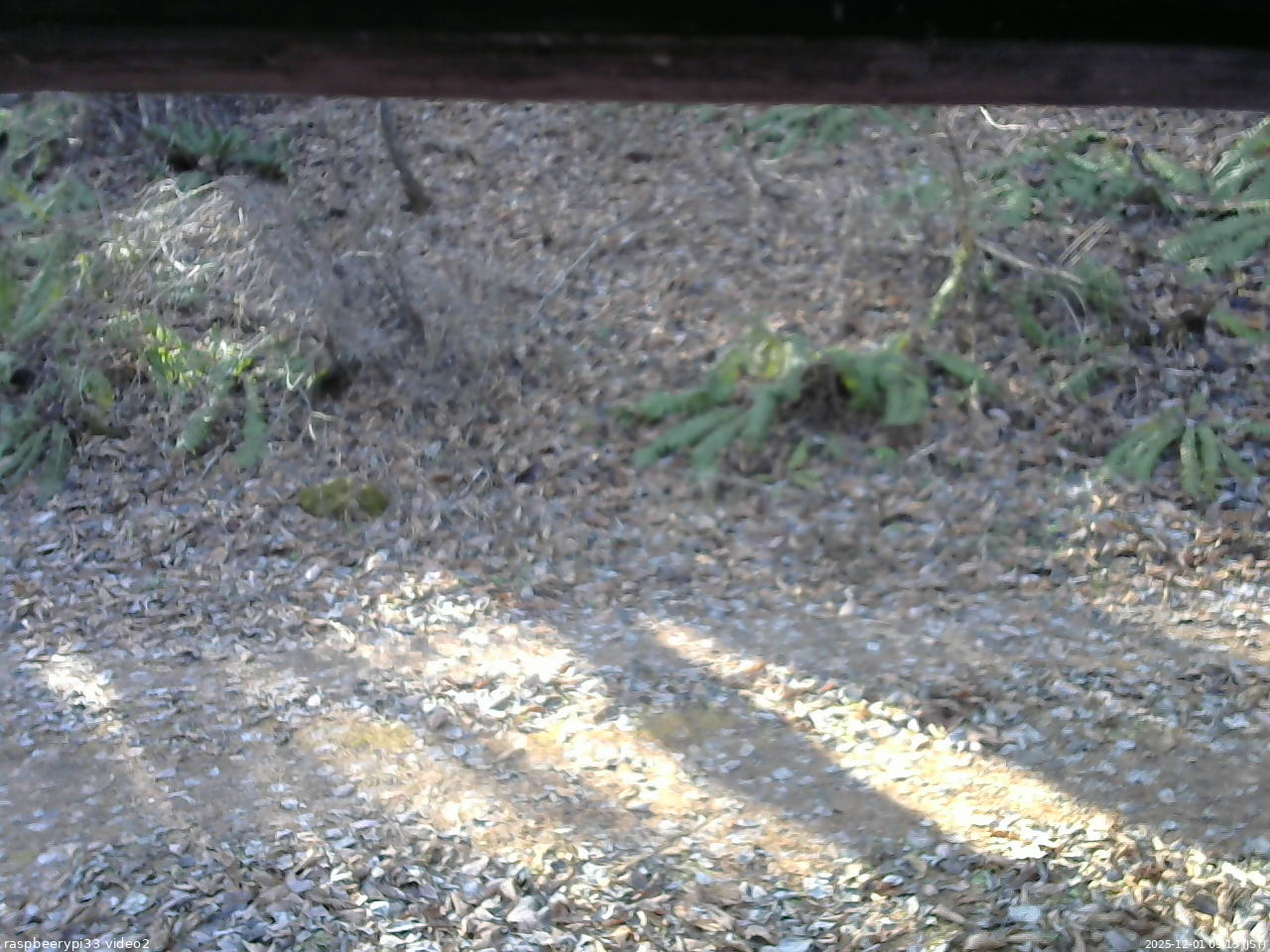 長野県菅平高原 ゆたか山荘 南側 2025/12/01 09:15