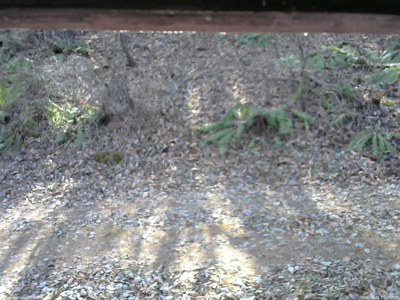 長野県菅平高原 ゆたか山荘 南側 2025/12/01 11:15