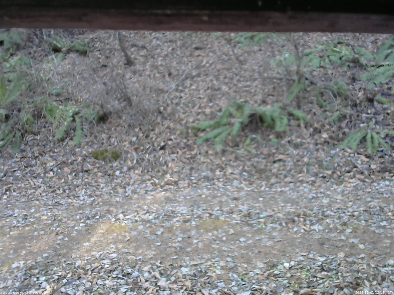 長野県菅平高原 ゆたか山荘 南側 2025/12/01 12:15