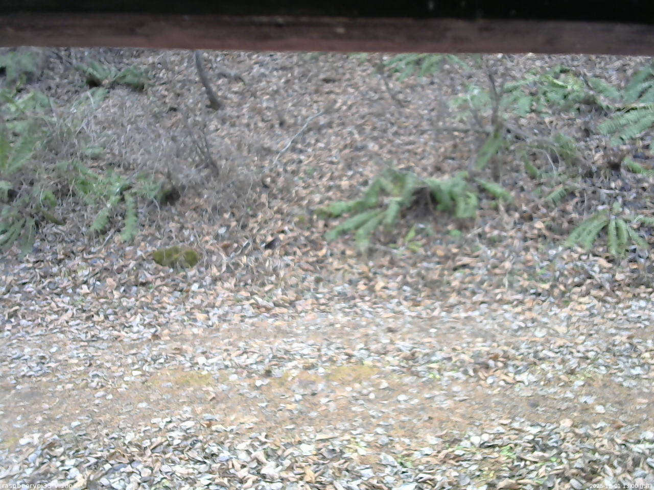 長野県菅平高原 ゆたか山荘 南側 2025/12/01 13:00