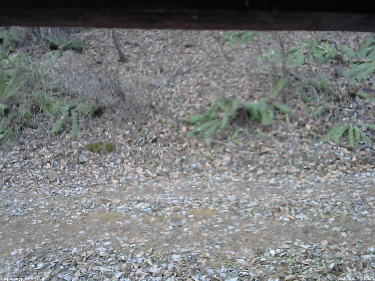 長野県菅平高原 ゆたか山荘 南側 2025/12/01 14:15