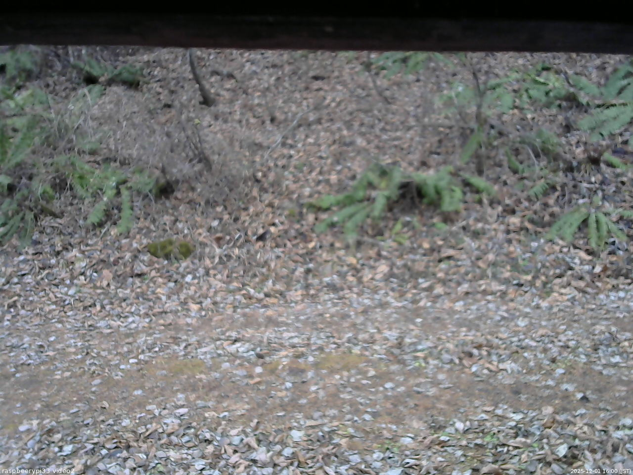 長野県菅平高原 ゆたか山荘 南側 2025/12/01 16:00