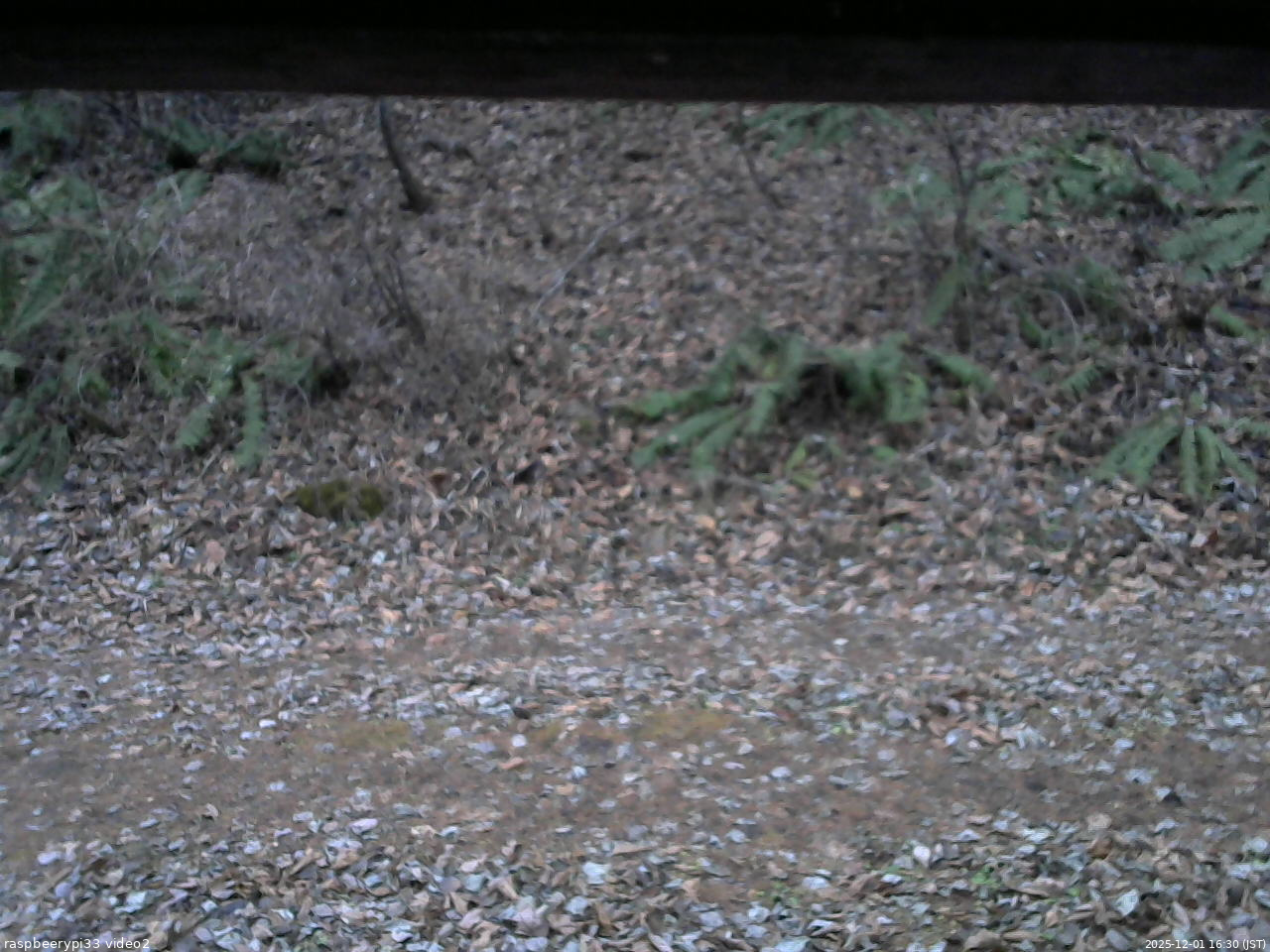 長野県菅平高原 ゆたか山荘 南側 2025/12/01 16:30