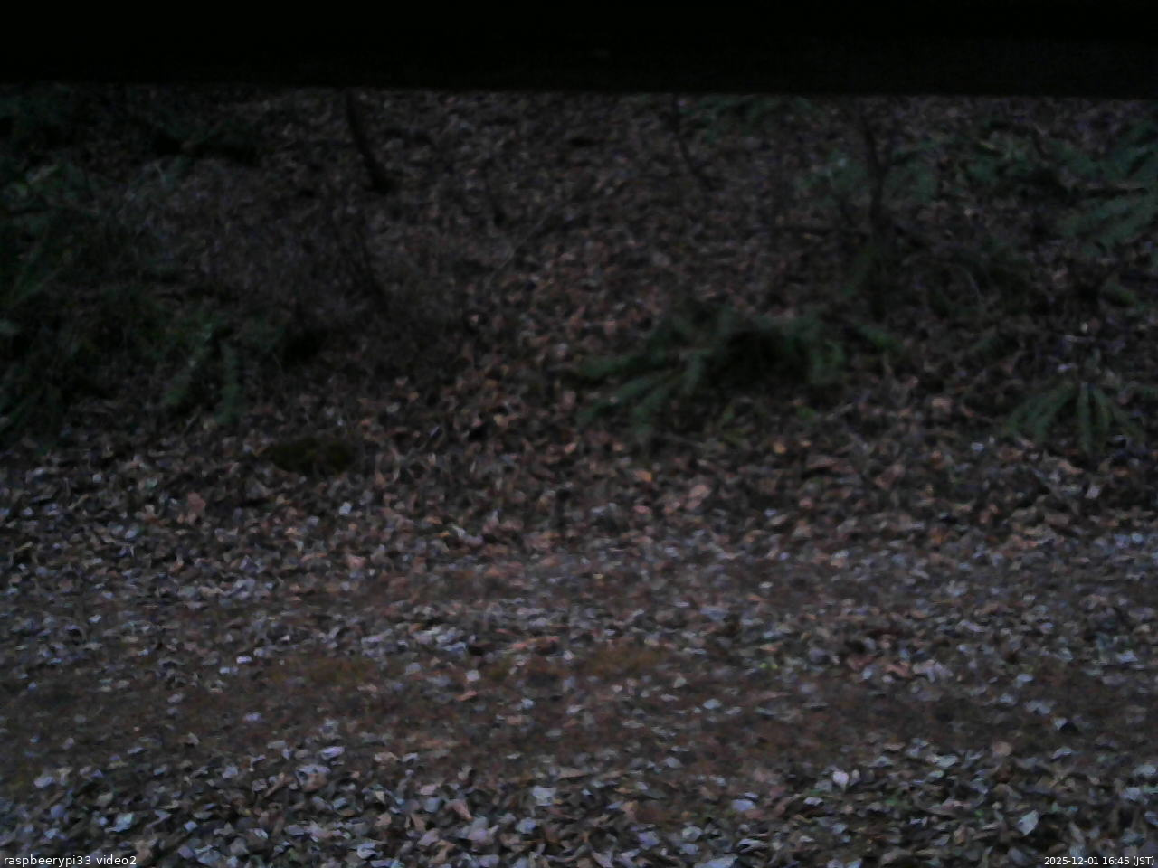長野県菅平高原 ゆたか山荘 南側 2025/12/01 16:45