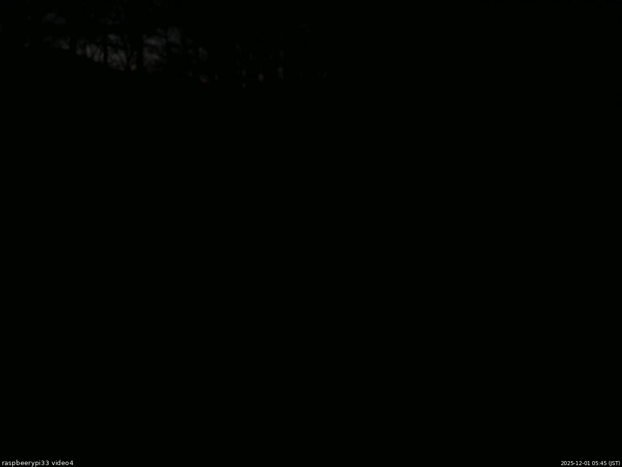 長野県菅平高原 ゆたか山荘 東側(坂下) 2025/12/01 05:45