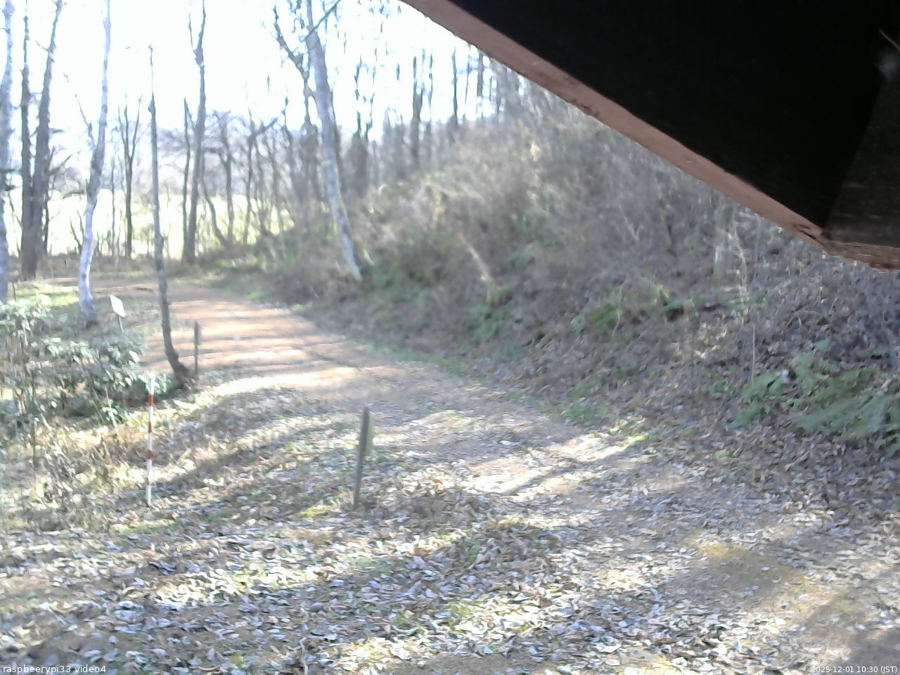 長野県菅平高原 ゆたか山荘 東側(坂下) 2025/12/01 10:30