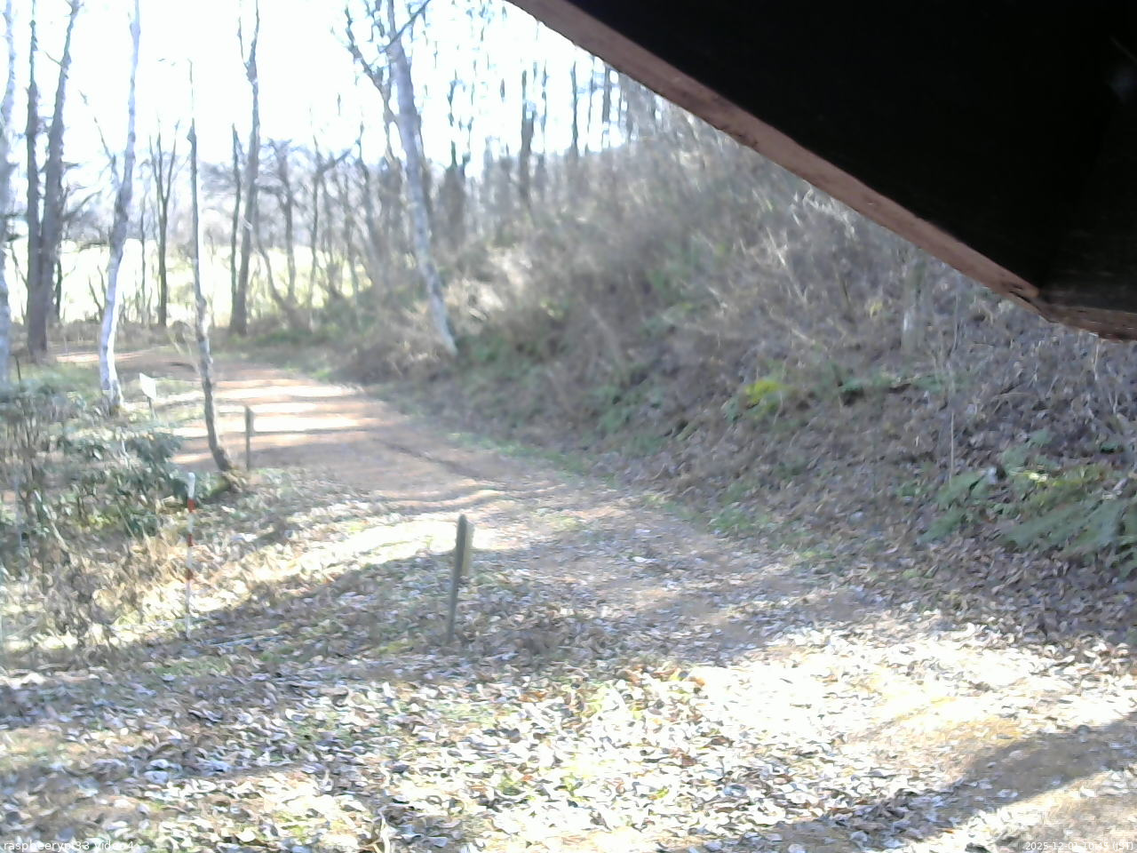長野県菅平高原 ゆたか山荘 東側(坂下) 2025/12/01 10:45