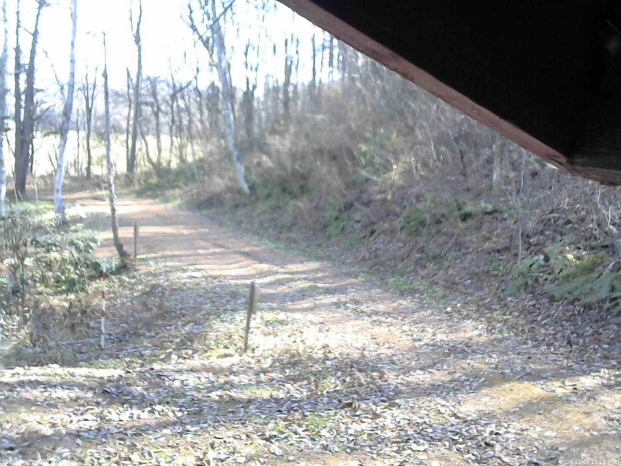 長野県菅平高原 ゆたか山荘 東側(坂下) 2025/12/01 11:15