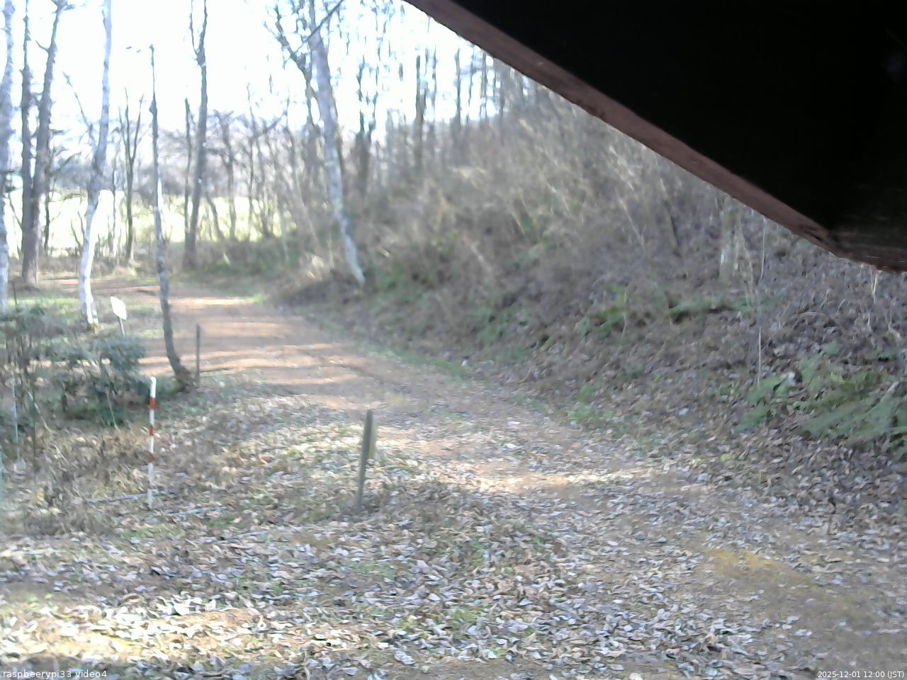 長野県菅平高原 ゆたか山荘 東側(坂下) 2025/12/01 12:00