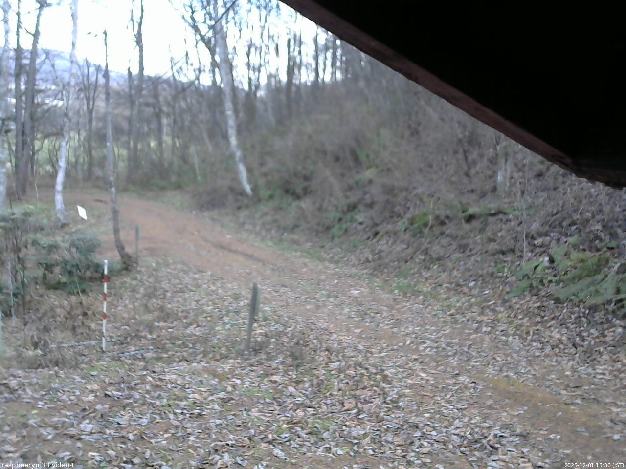 長野県菅平高原 ゆたか山荘 東側(坂下) 2025/12/01 15:30