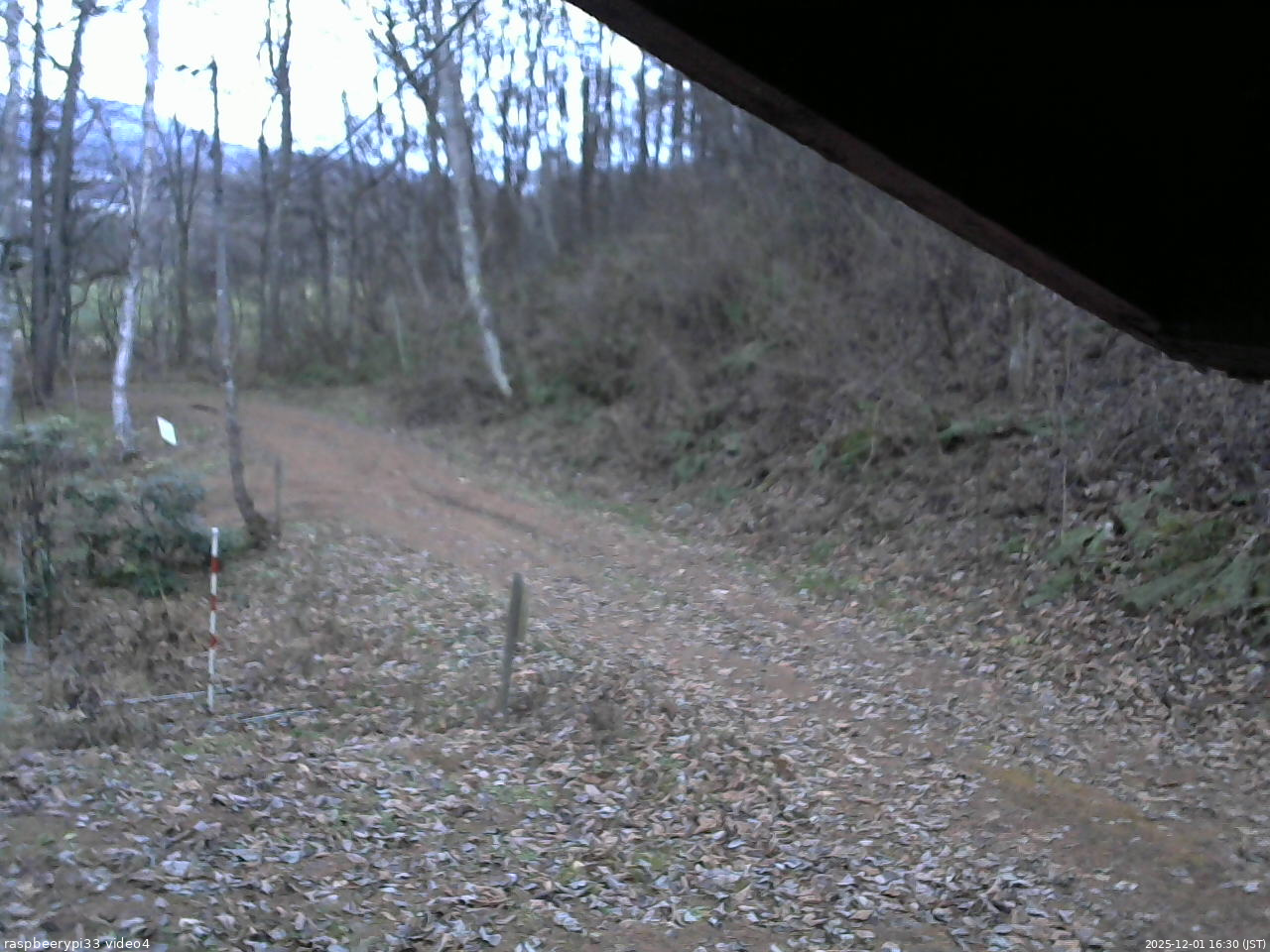 長野県菅平高原 ゆたか山荘 東側(坂下) 2025/12/01 16:30