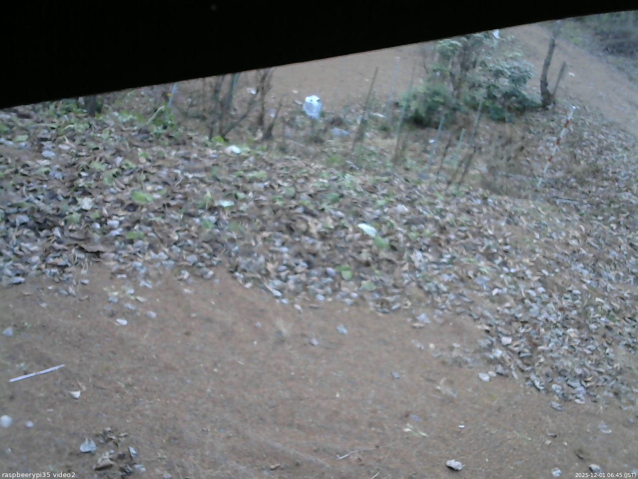 長野県菅平高原 ゆたか山荘 駐車場 2025/12/01 06:45