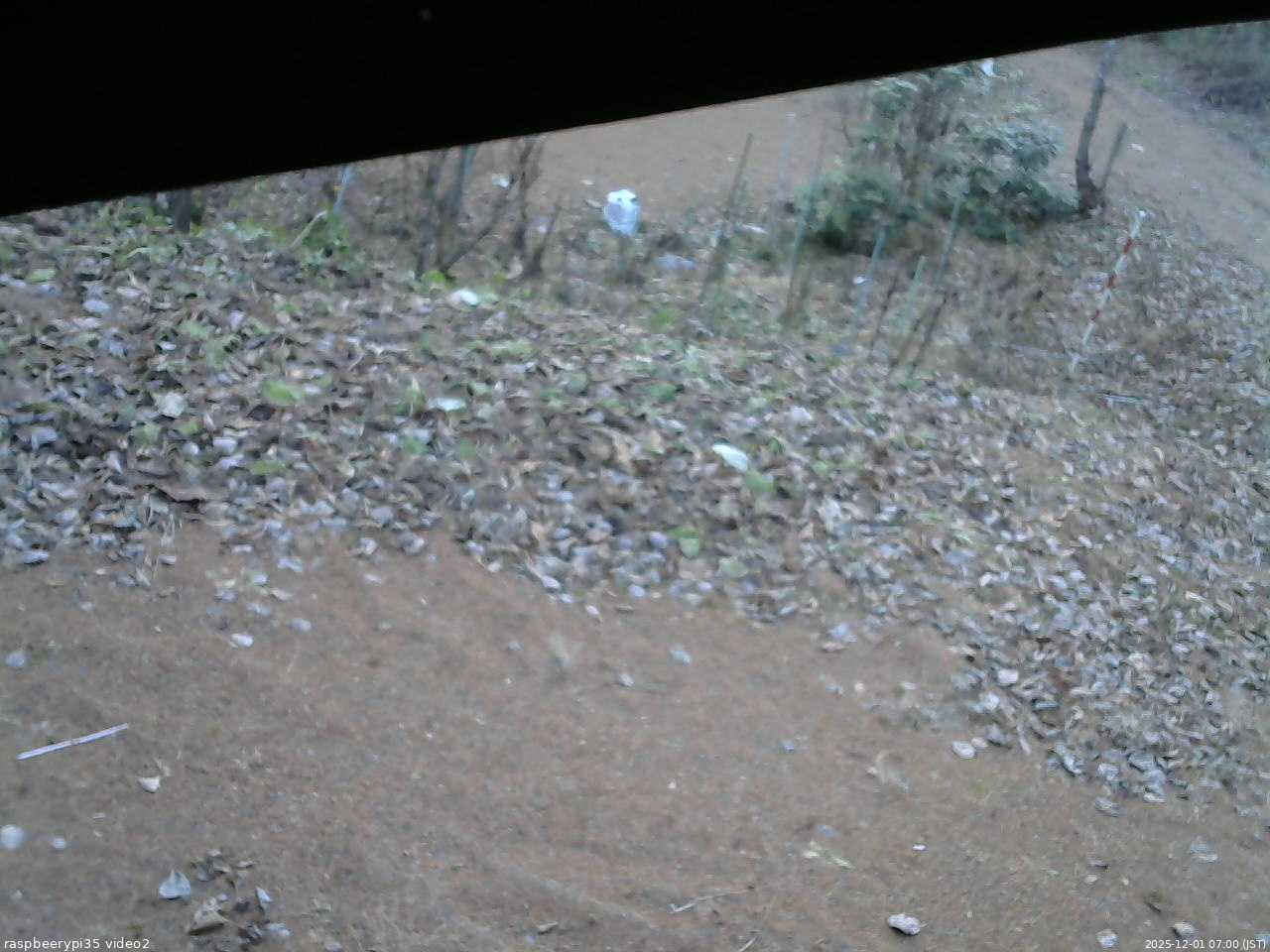 長野県菅平高原 ゆたか山荘 駐車場 2025/12/01 07:00