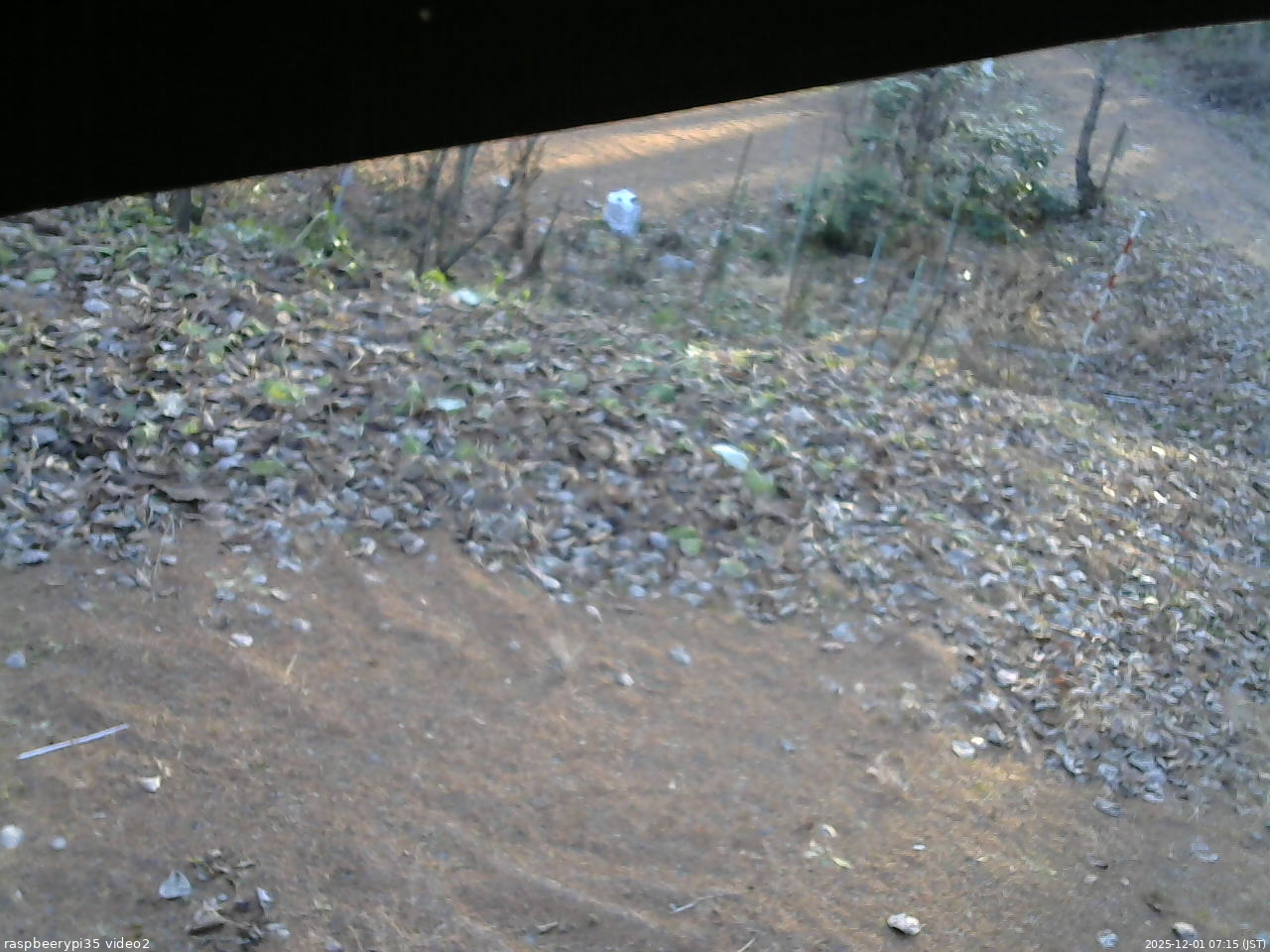 長野県菅平高原 ゆたか山荘 駐車場 2025/12/01 07:15