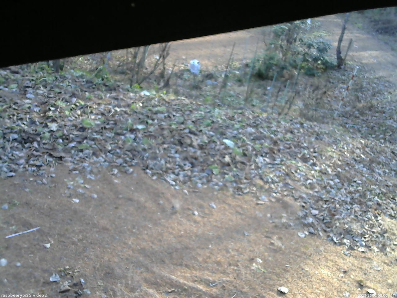 長野県菅平高原 ゆたか山荘 駐車場 2025/12/01 08:00