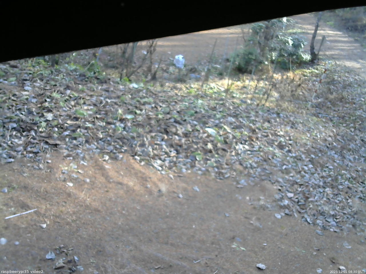 長野県菅平高原 ゆたか山荘 駐車場 2025/12/01 08:30