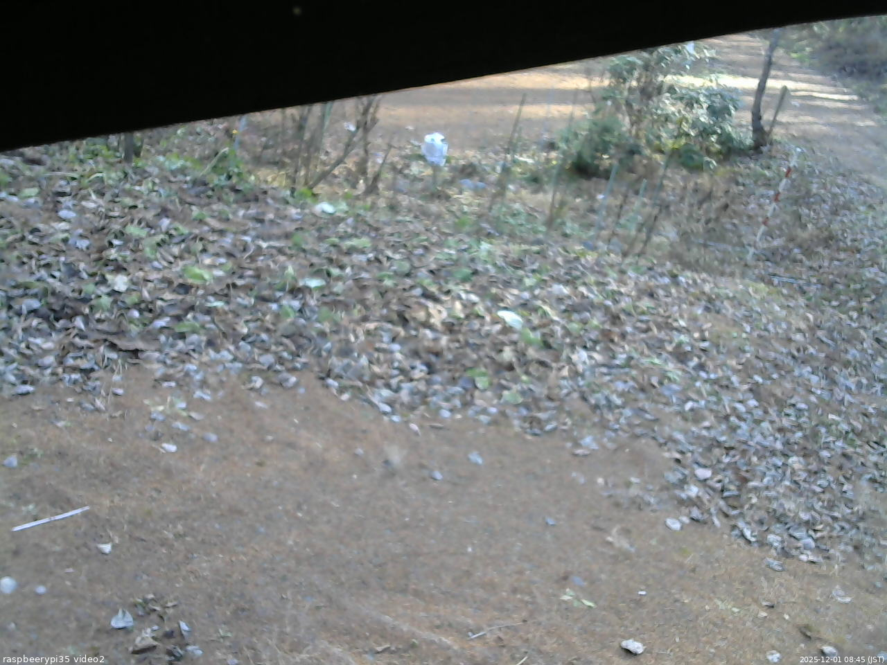 長野県菅平高原 ゆたか山荘 駐車場 2025/12/01 08:45