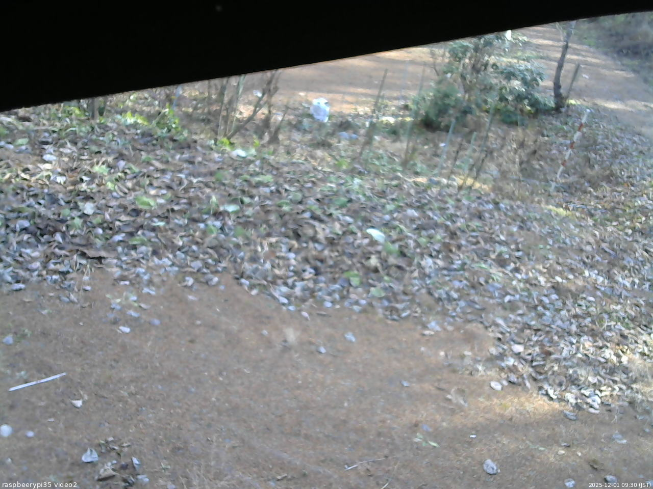 長野県菅平高原 ゆたか山荘 駐車場 2025/12/01 09:30