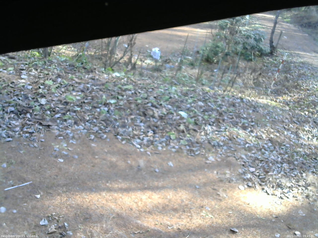 長野県菅平高原 ゆたか山荘 駐車場 2025/12/01 09:45