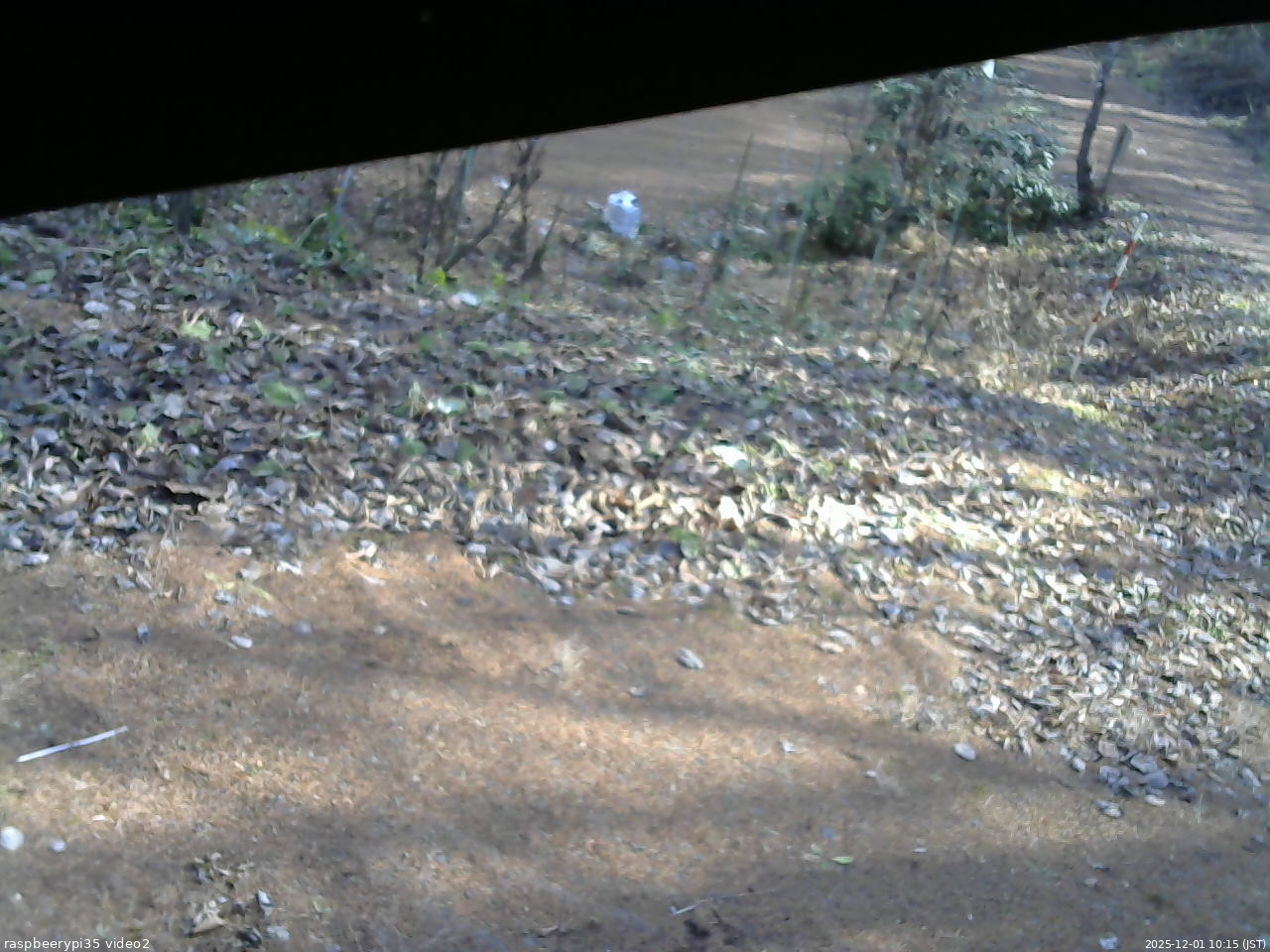 長野県菅平高原 ゆたか山荘 駐車場 2025/12/01 10:15