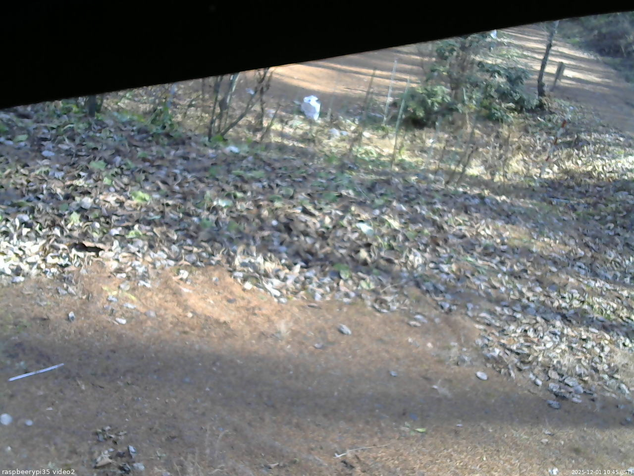 長野県菅平高原 ゆたか山荘 駐車場 2025/12/01 10:45