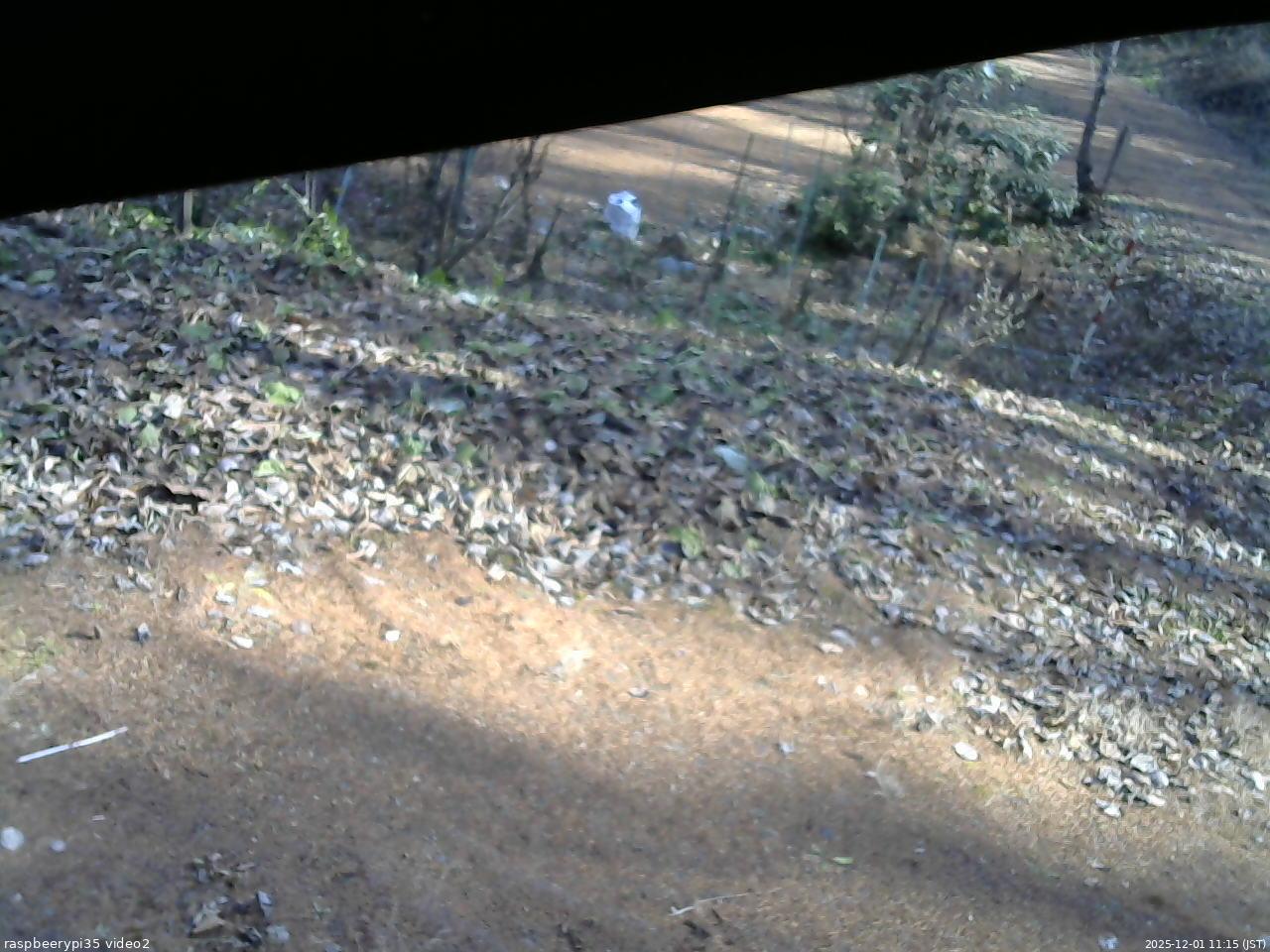 長野県菅平高原 ゆたか山荘 駐車場 2025/12/01 11:15
