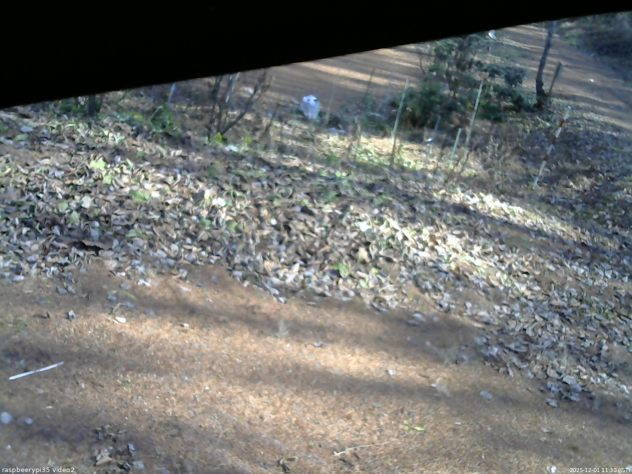 長野県菅平高原 ゆたか山荘 駐車場 2025/12/01 11:30