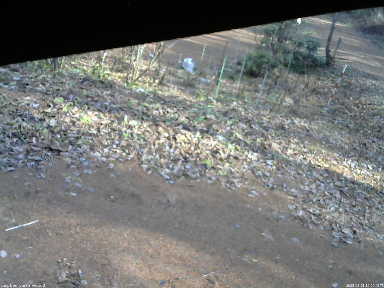 長野県菅平高原 ゆたか山荘 駐車場 2025/12/01 12:00